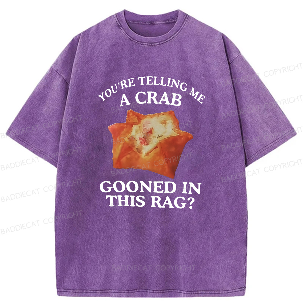 Baddiecat You're Telling Me A Crab Gooned In This Rag Washed T-shirt