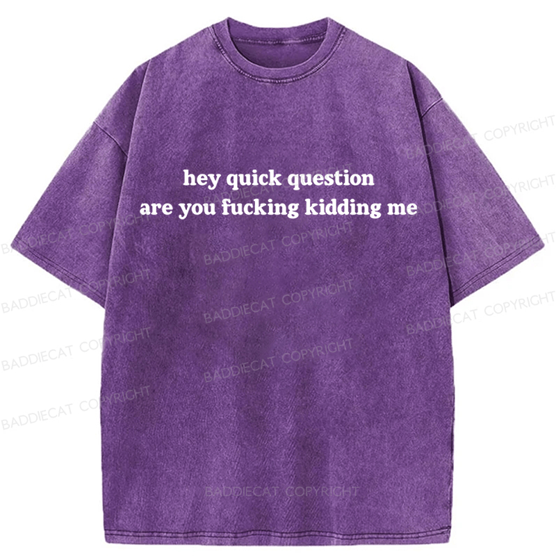 Baddiecat Hey Quick Question Are You Fucking Kidding Me Washed T-shirt