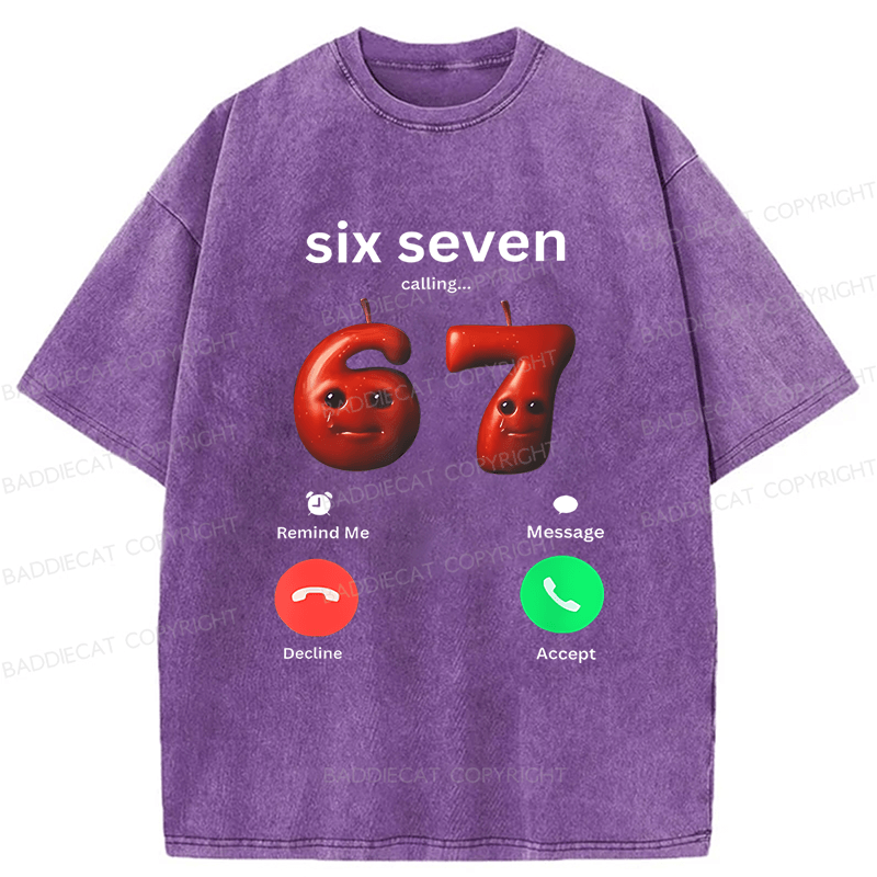 Baddiecat Sixty-Seven Fans Calling Washed T-shirt