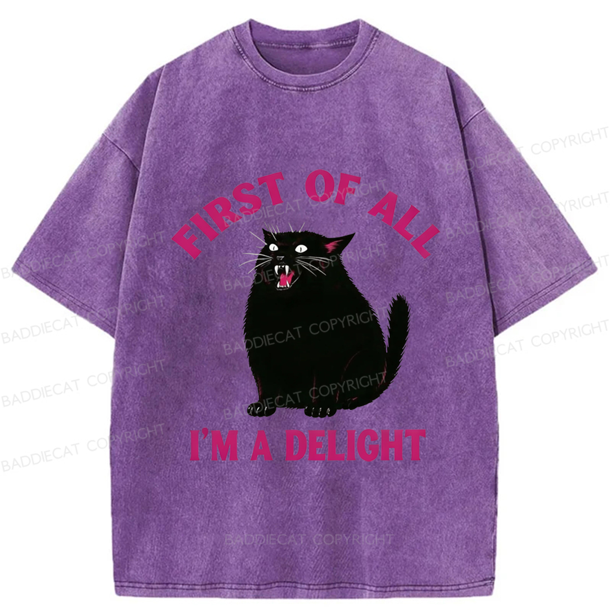 Baddiecat Funny Cat Washed T-shirt