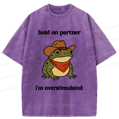 Baddiecat Hold On Partner I'm Overstimulated Frog Washed T-shirt