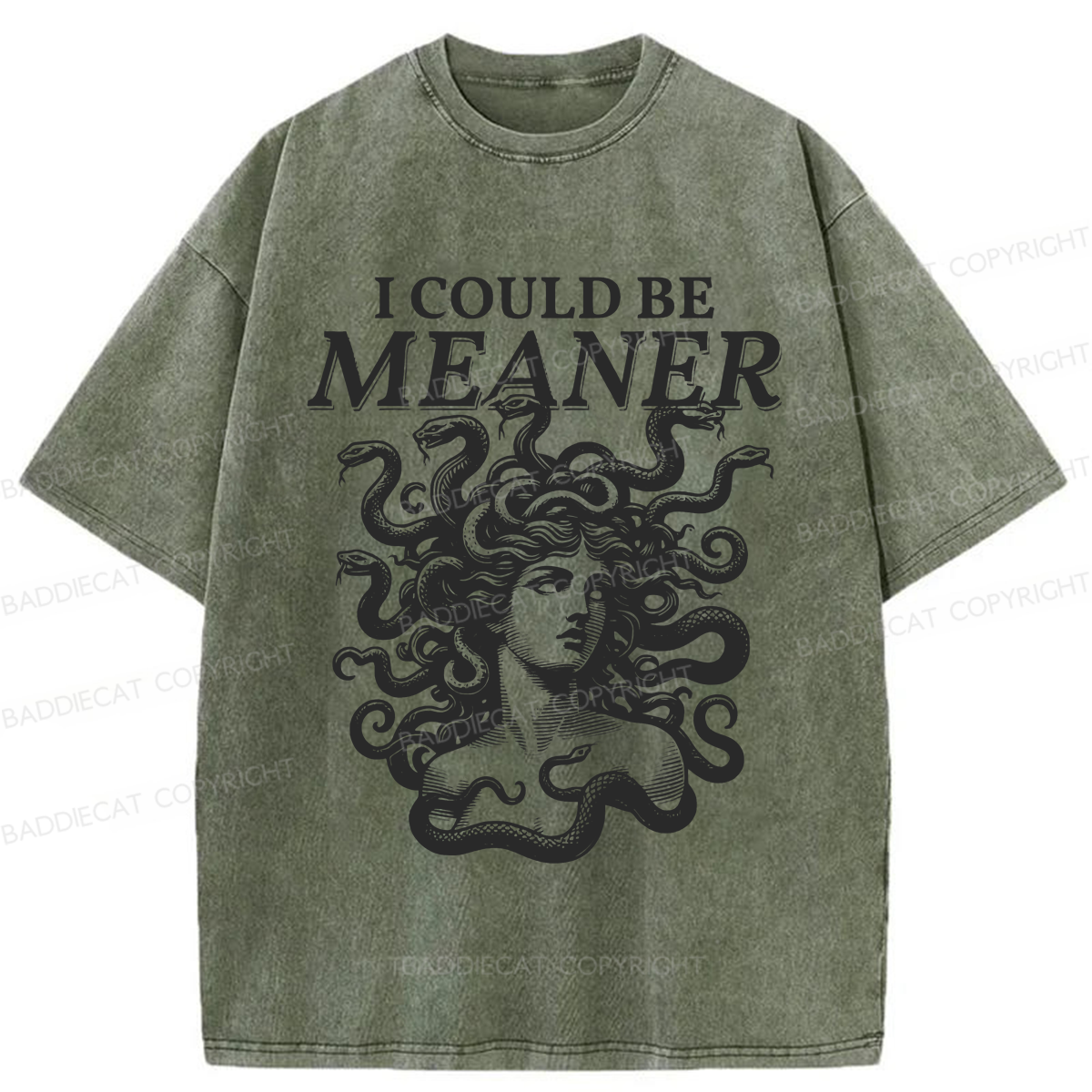 Baddiecat I Could Be Meaner Washed T-shirt