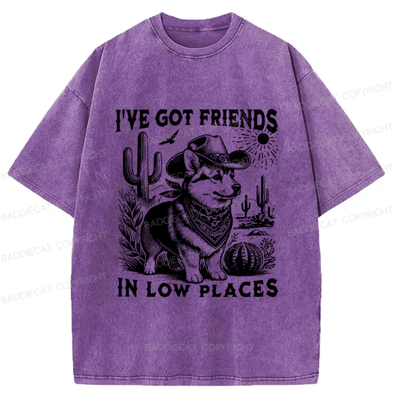 Baddiecat Funny Corgi Washed T-shirt