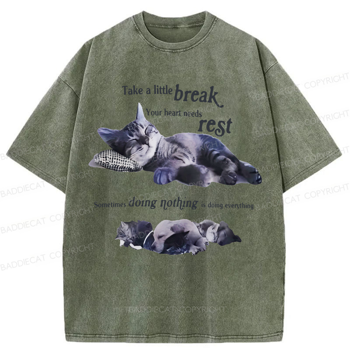 Baddiecat Take A Little Break Cats Washed T-shirt
