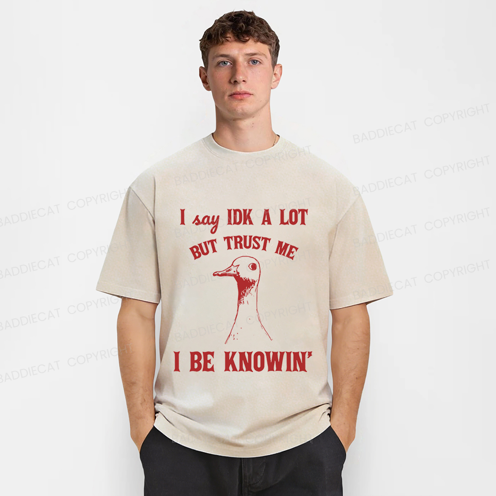 Baddiecat I Say IDK A Lot But Trust Me I Be Knowing  Washed T-shirt