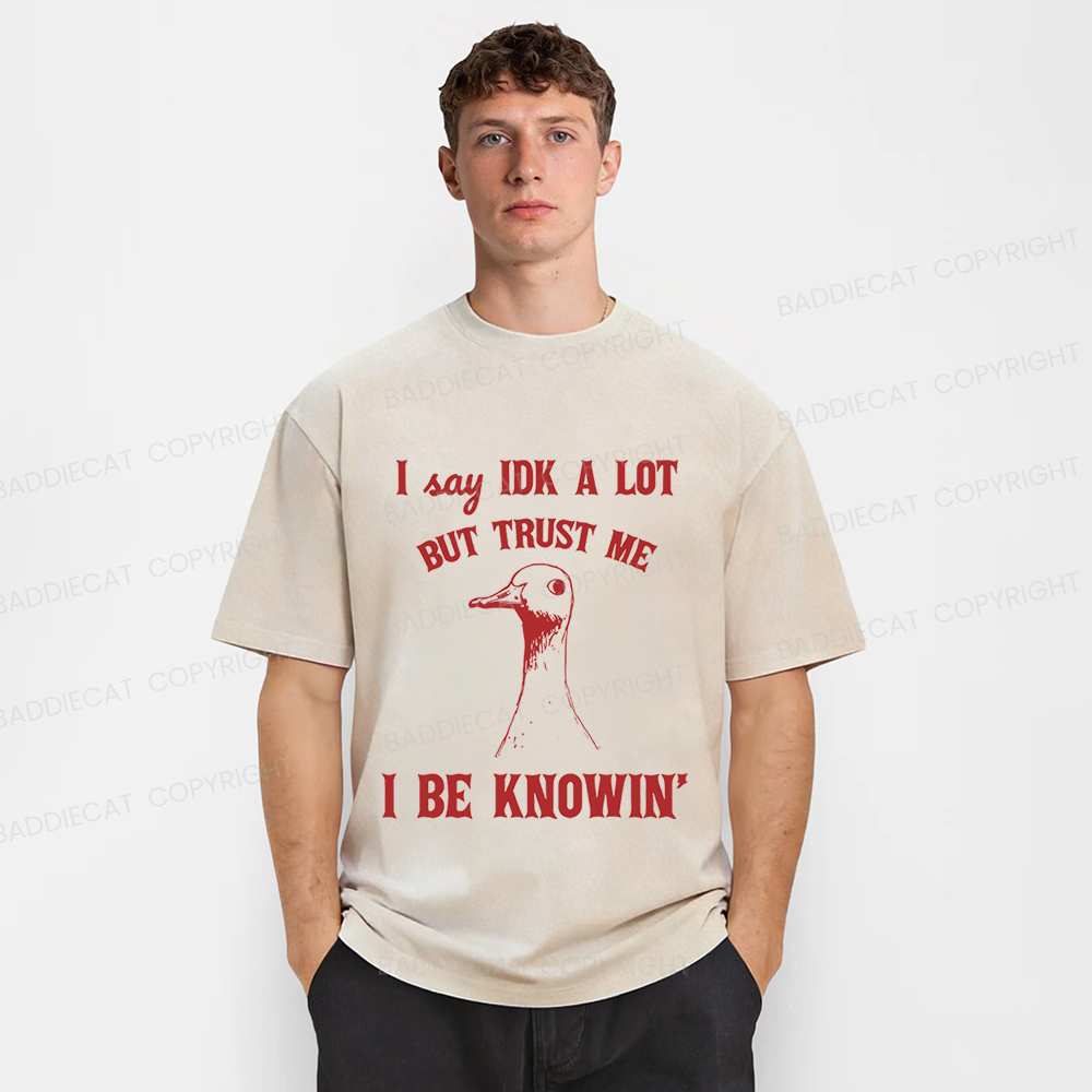 Baddiecat I Say IDK A Lot But Trust Me I Be Knowing  Washed T-shirt