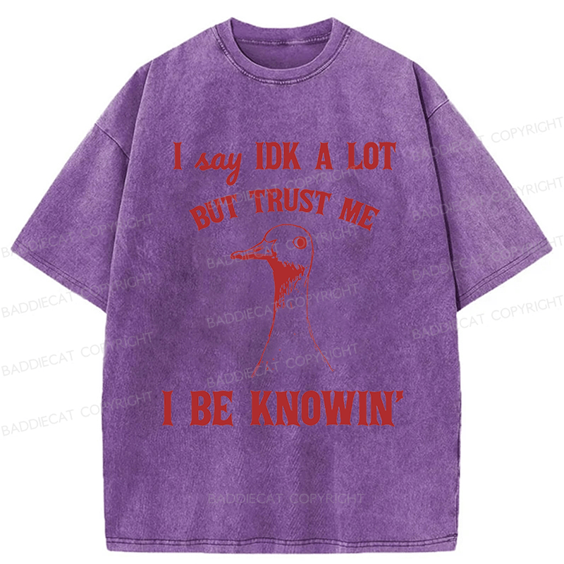 Baddiecat I Say IDK A Lot But Trust Me I Be Knowing  Washed T-shirt