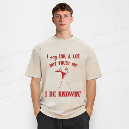 Baddiecat I Say IDK A Lot But Trust Me I Be Knowing  Washed T-shirt