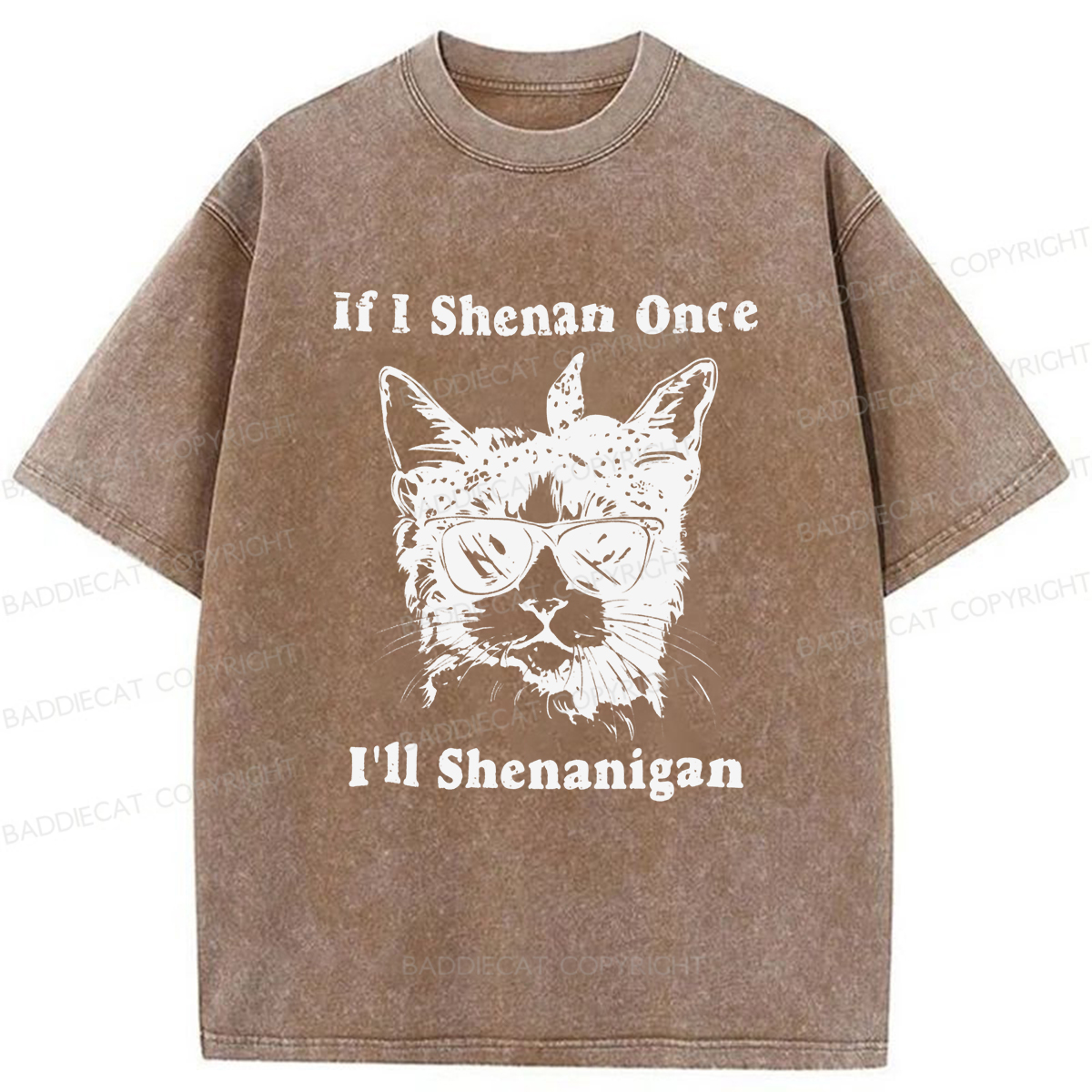 Baddiecat If I Shenan Once I'll Shenanigan Washed T-shirt