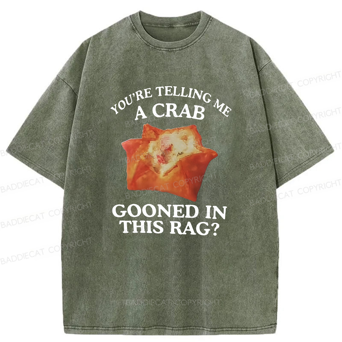 Baddiecat You're Telling Me A Crab Gooned In This Rag Washed T-shirt
