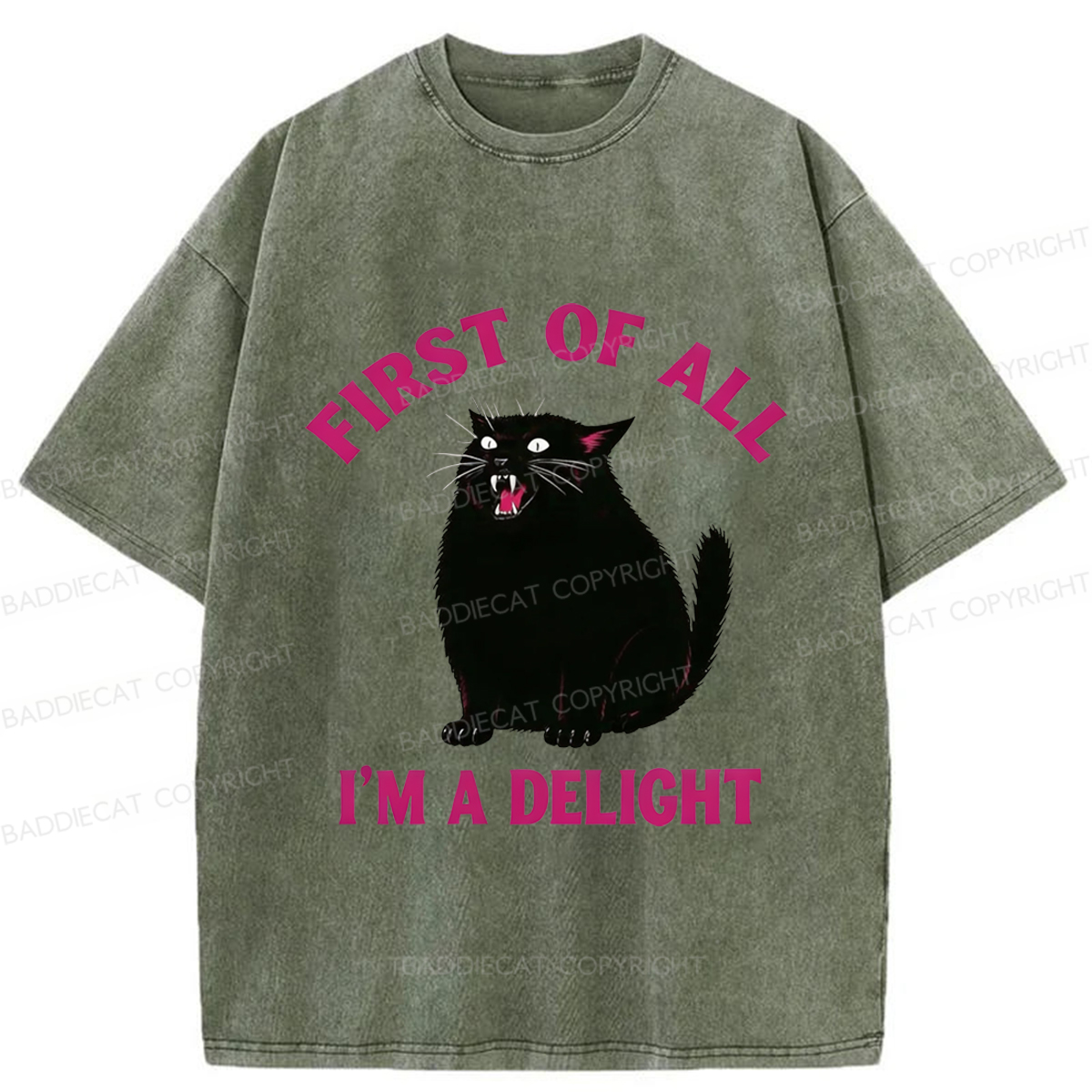 Baddiecat Funny Cat Washed T-shirt