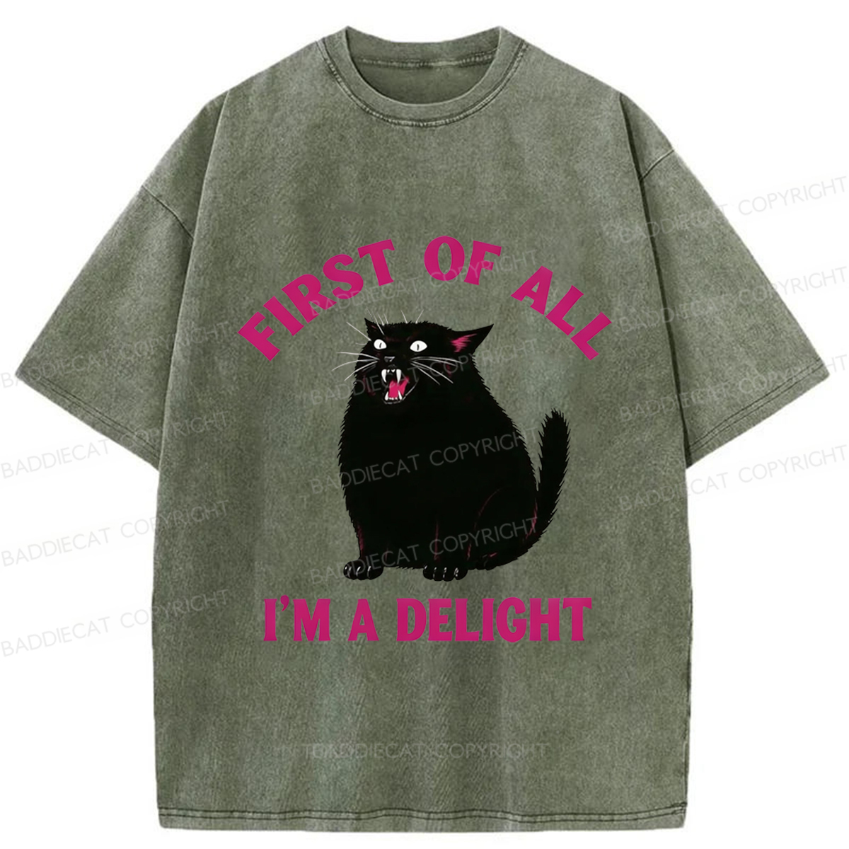 Baddiecat Funny Cat Washed T-shirt