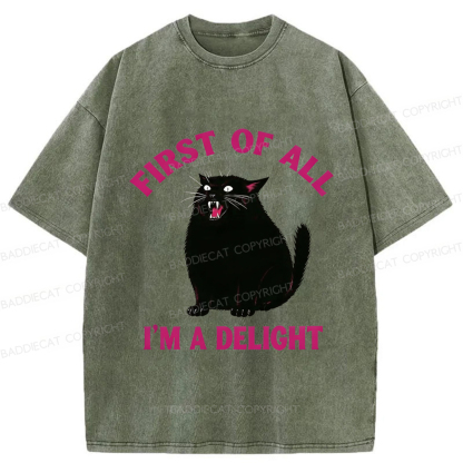 Baddiecat Funny Cat Washed T-shirt
