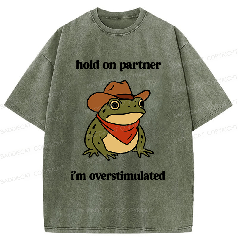 Baddiecat Hold On Partner I'm Overstimulated Frog Washed T-shirt