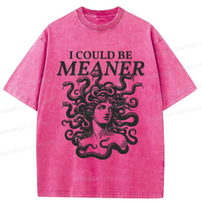 Baddiecat I Could Be Meaner Washed T-shirt