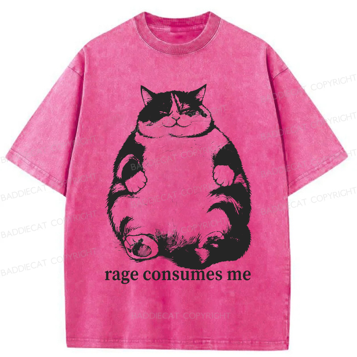 Baddiecat Rage Consumes Me Washed T-shirt