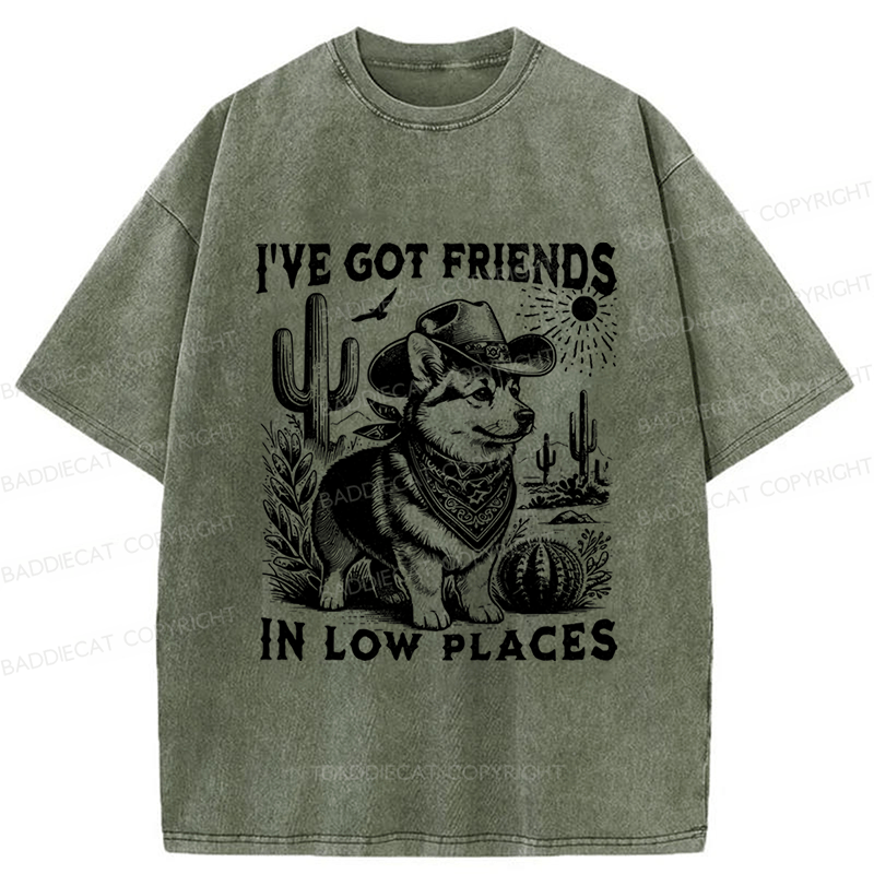 Baddiecat Funny Corgi Washed T-shirt