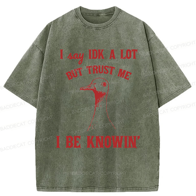 Baddiecat I Say IDK A Lot But Trust Me I Be Knowing  Washed T-shirt