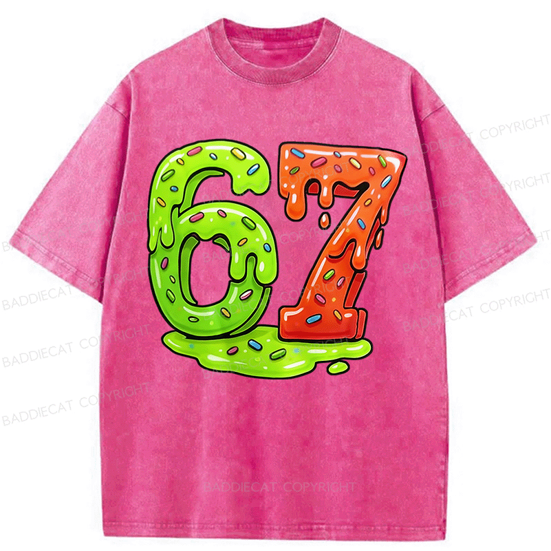 Baddiecat 67 Washed T-shirt