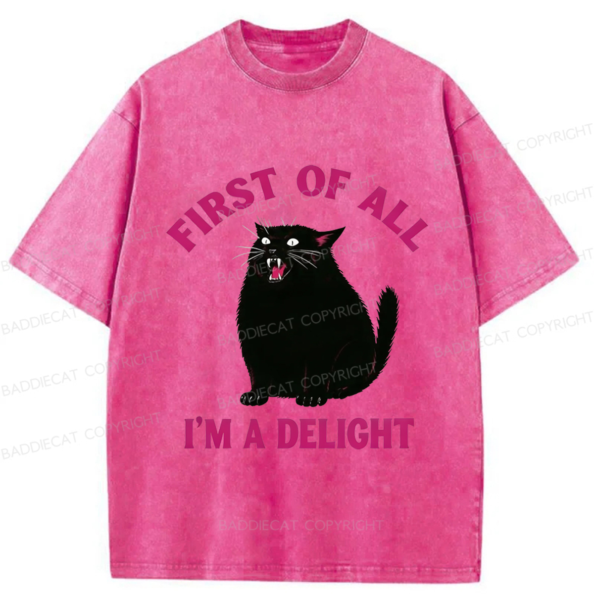 Baddiecat Funny Cat Washed T-shirt