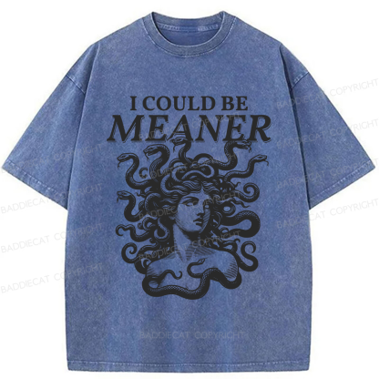 Baddiecat I Could Be Meaner Washed T-shirt