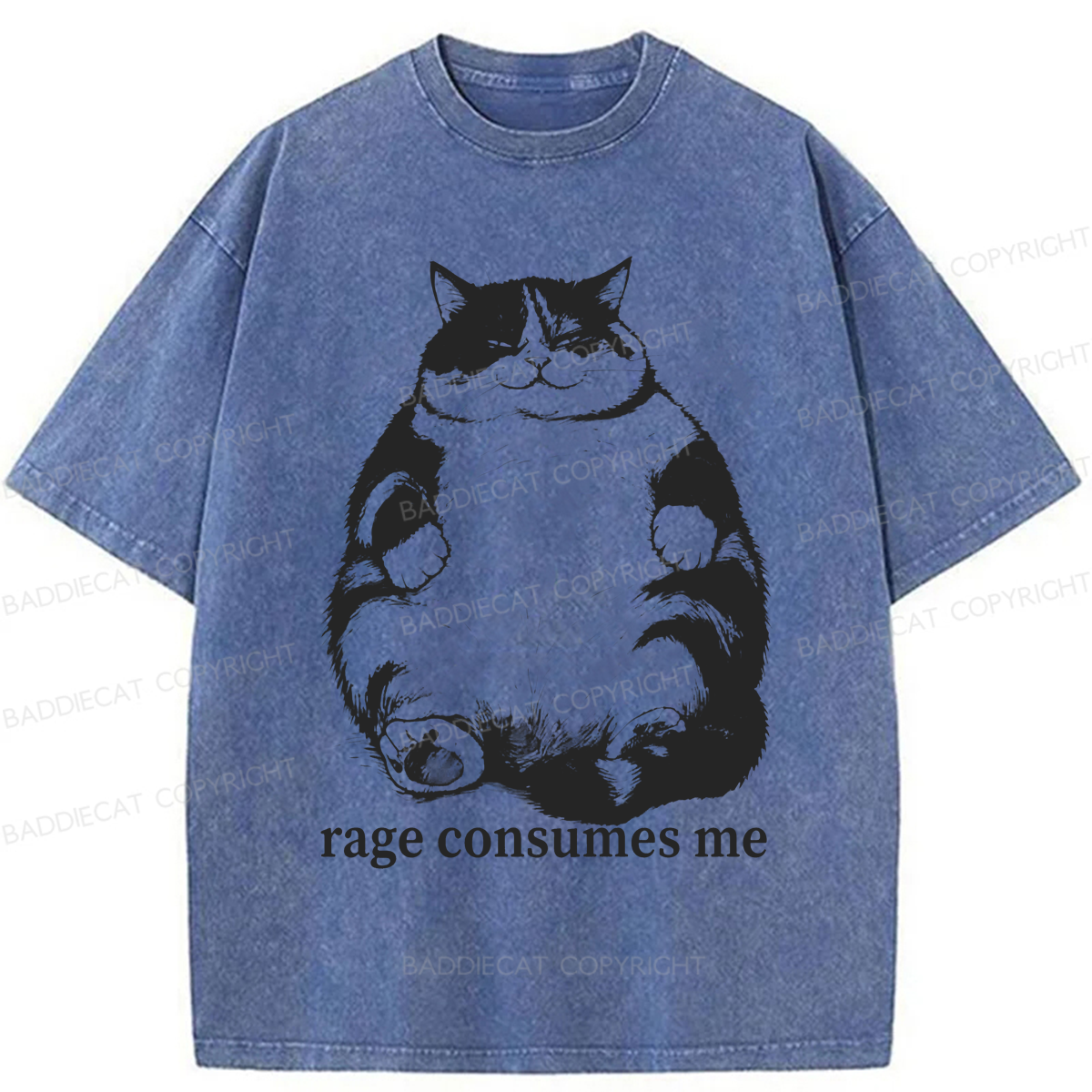 Baddiecat Rage Consumes Me Washed T-shirt