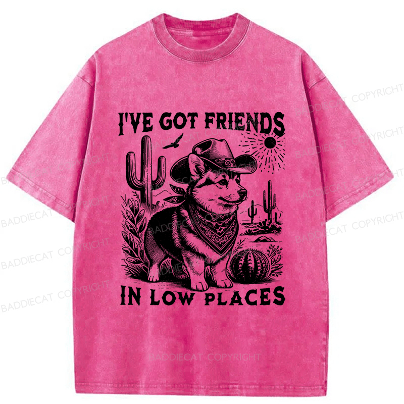 Baddiecat Funny Corgi Washed T-shirt