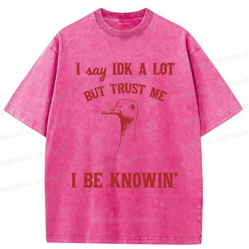 Baddiecat I Say IDK A Lot But Trust Me I Be Knowing  Washed T-shirt