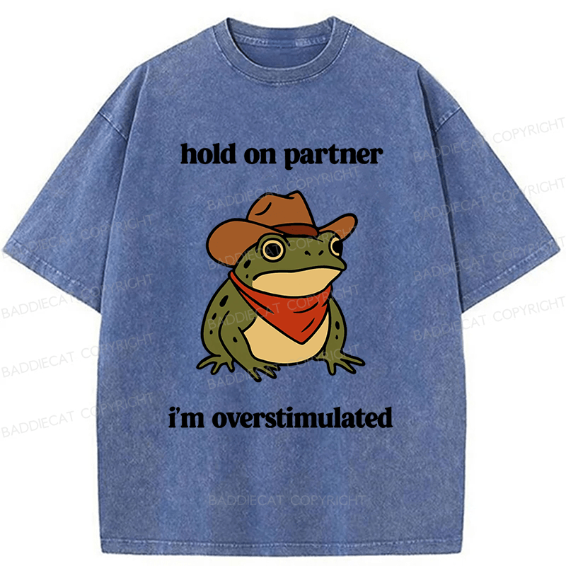 Baddiecat Hold On Partner I'm Overstimulated Frog Washed T-shirt
