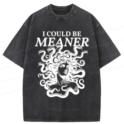 Baddiecat I Could Be Meaner Washed T-shirt