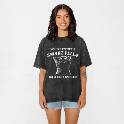 Baddiecat Disdain Cats Washed T-shirt