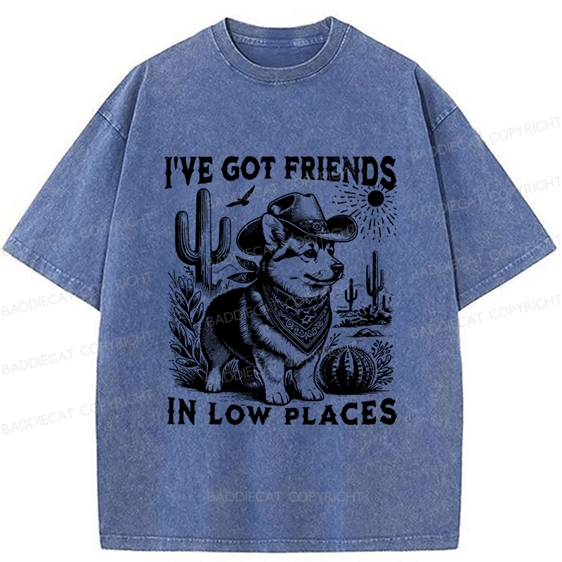 Baddiecat Funny Corgi Washed T-shirt