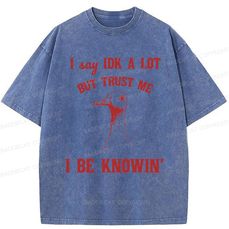 Baddiecat I Say IDK A Lot But Trust Me I Be Knowing  Washed T-shirt
