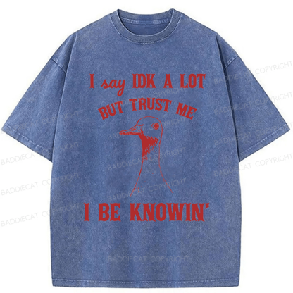 Baddiecat I Say IDK A Lot But Trust Me I Be Knowing  Washed T-shirt