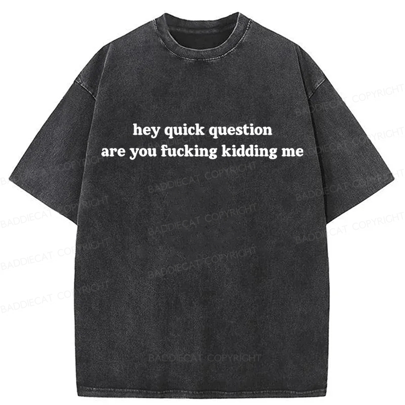 Baddiecat Hey Quick Question Are You Fucking Kidding Me Washed T-shirt