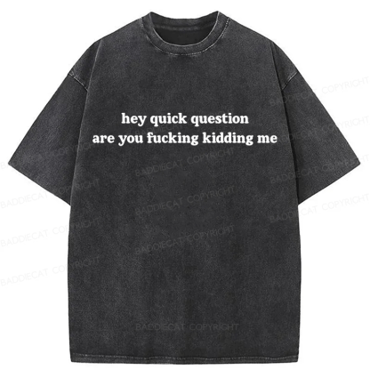 Baddiecat Hey Quick Question Are You Fucking Kidding Me Washed T-shirt