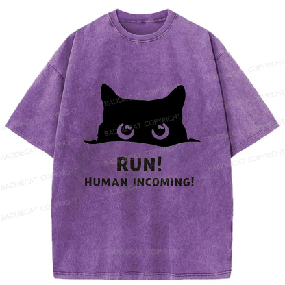 Baddiecat Timid kitten Washed T-shirt