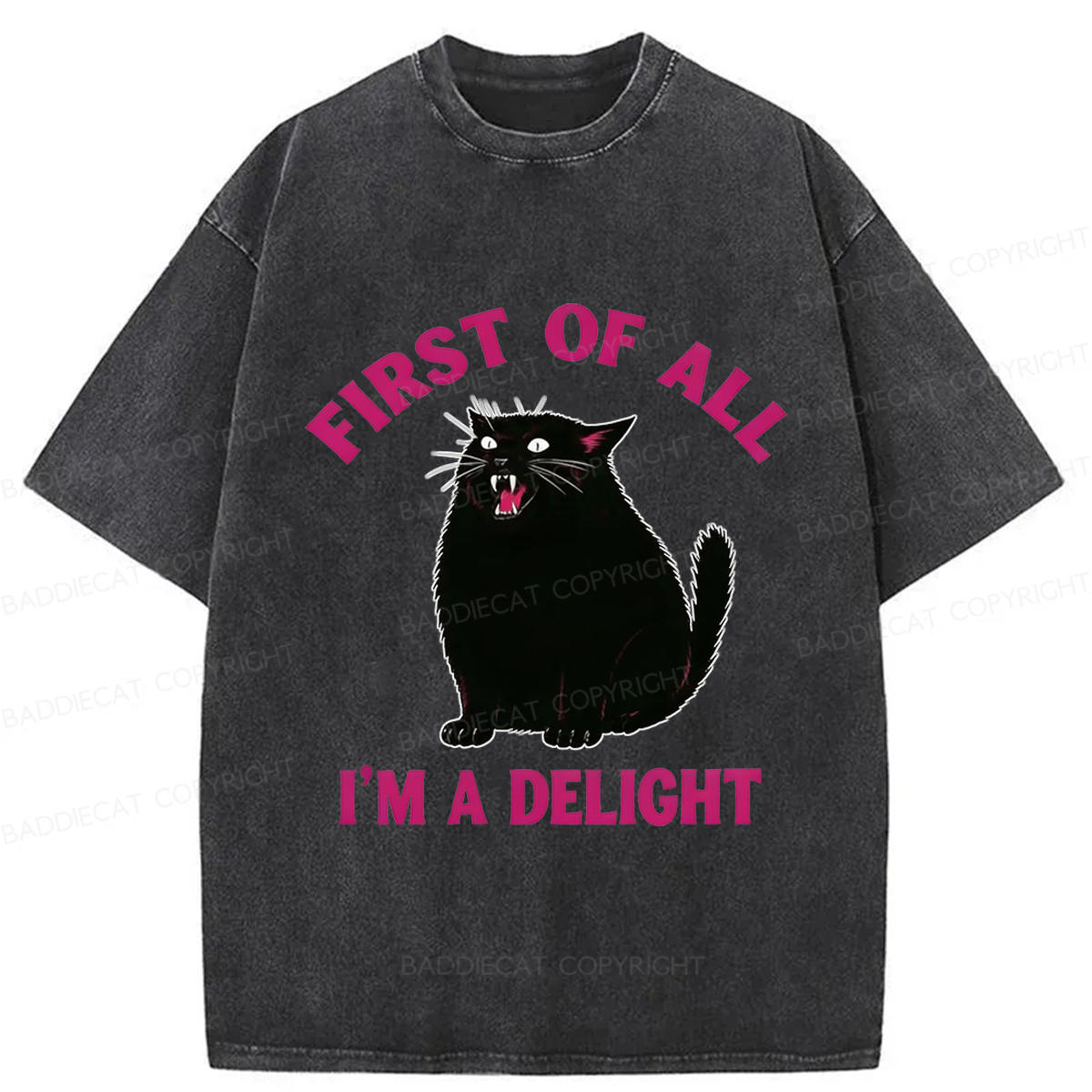 Baddiecat Funny Cat Washed T-shirt