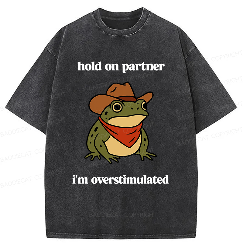 Baddiecat Hold On Partner I'm Overstimulated Frog Washed T-shirt