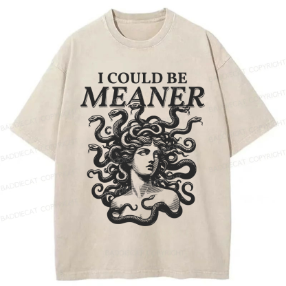 Baddiecat I Could Be Meaner Washed T-shirt