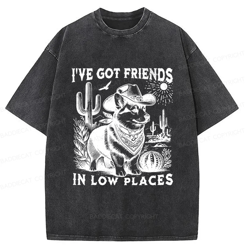 Baddiecat Funny Corgi Washed T-shirt