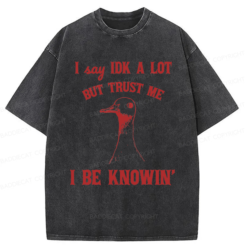 Baddiecat I Say IDK A Lot But Trust Me I Be Knowing  Washed T-shirt