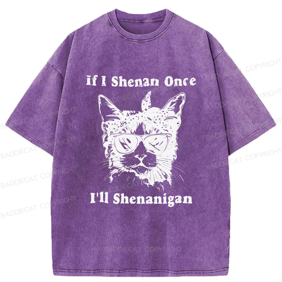 Baddiecat If I Shenan Once I'll Shenanigan Washed T-shirt