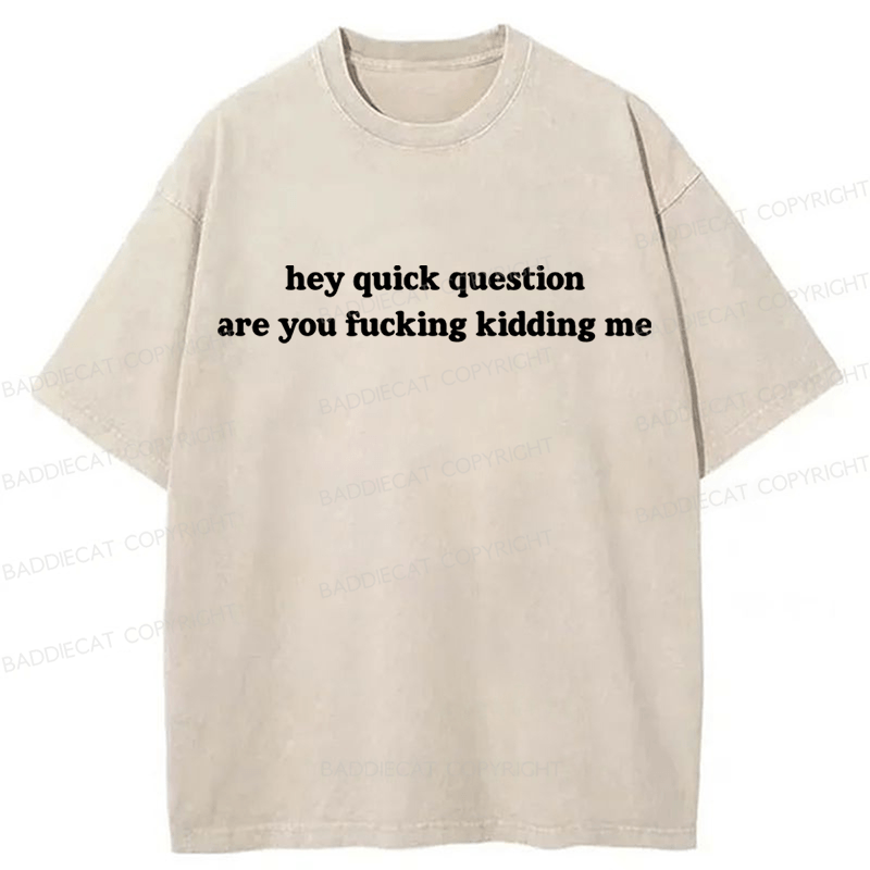 Baddiecat Hey Quick Question Are You Fucking Kidding Me Washed T-shirt