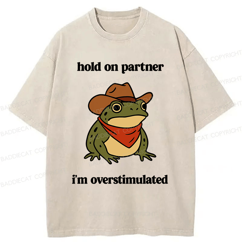 Baddiecat Hold On Partner I'm Overstimulated Frog Washed T-shirt