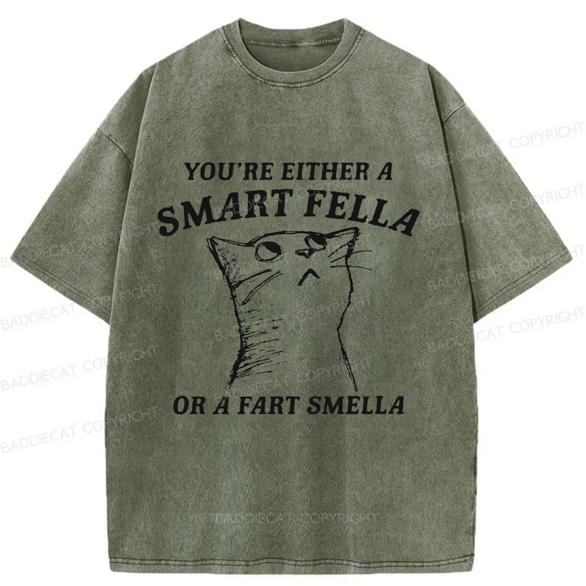 Baddiecat Disdain Cats Washed T-shirt