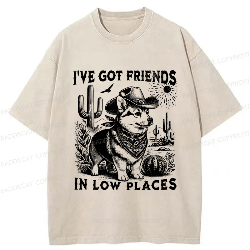 Baddiecat Funny Corgi Washed T-shirt