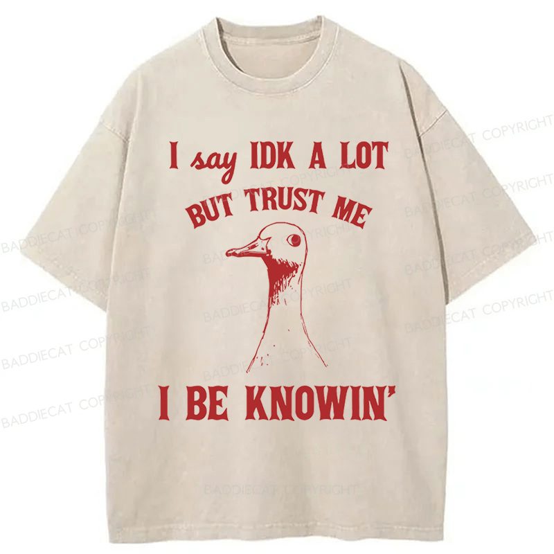 Baddiecat I Say IDK A Lot But Trust Me I Be Knowing  Washed T-shirt