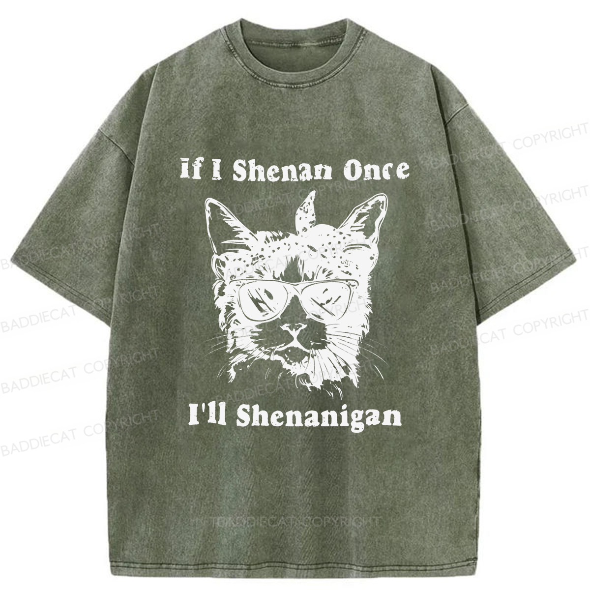 Baddiecat If I Shenan Once I'll Shenanigan Washed T-shirt