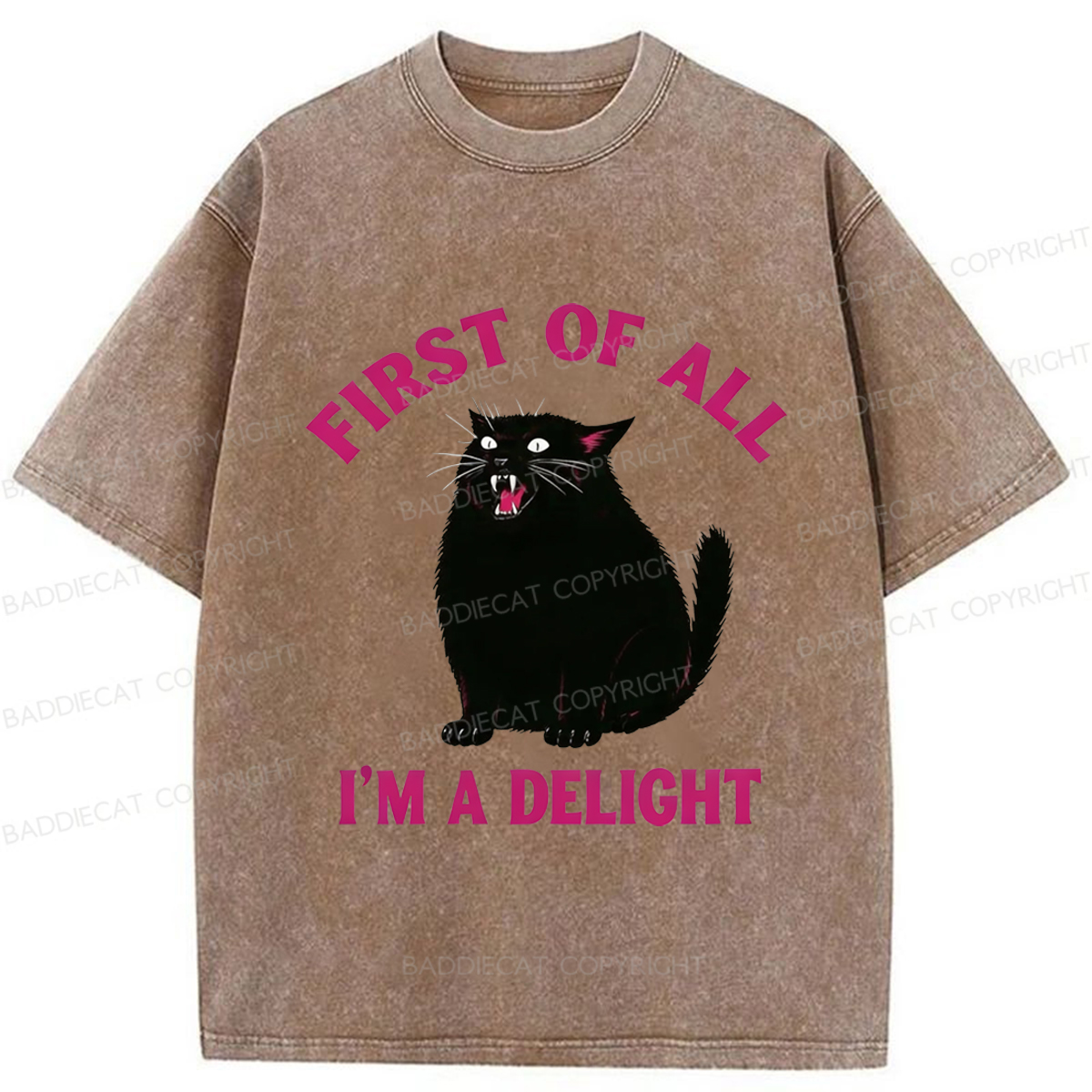 Baddiecat Funny Cat Washed T-shirt